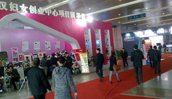 2011武汉创业展案例展示